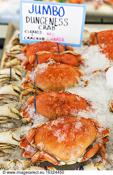 USA  Washington State  Seattle  Pike Place Fish Market  Dungeness crabs at market stand