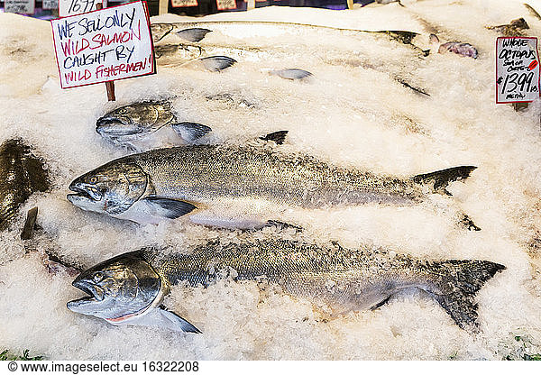 USA  Washington State  Seattle  Pike Place Fish Market  wild salmons at market stand