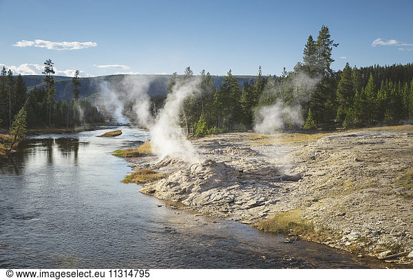 USA Wyoming Yellowstone Nationalpark Geysire