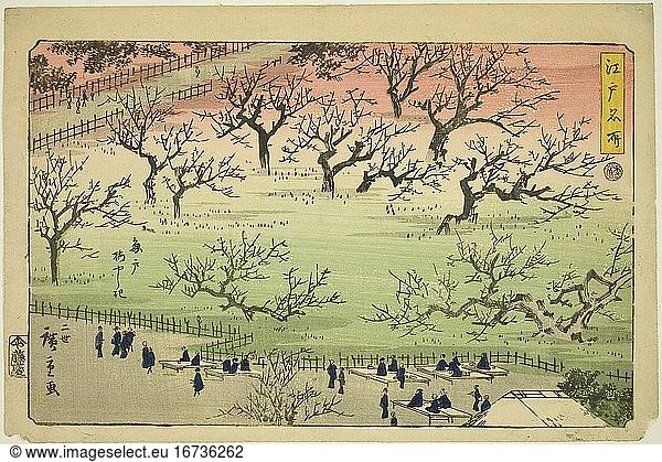 Utagawa Hiroshige II (Shigenobu)  1826–1869.Plum Garden at Kameido (Kameido Umeyashiki)  from the series “Famous Places in Edo (Edo meisho) '  1859.Color woodblock print  oban  25.1 × 37.3 cm.Inv. No. 1939.1514 Chicago  Art Institute.