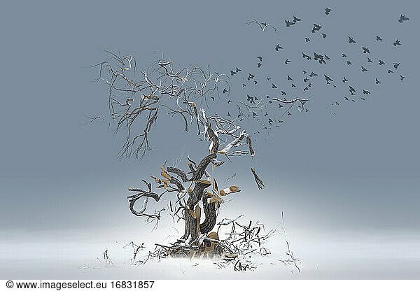 Vögel fliegen vom brechenden Baum