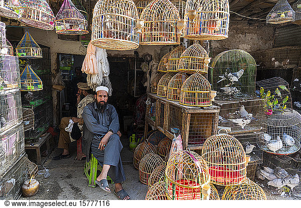 Vögel zu verkaufen  Vogelstraße  Kabul  Afghanistan  Asien