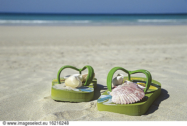 VAE  Dubai  Jumeirah Beach  shells in bathing shoes