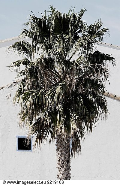 Valencia, Spanien