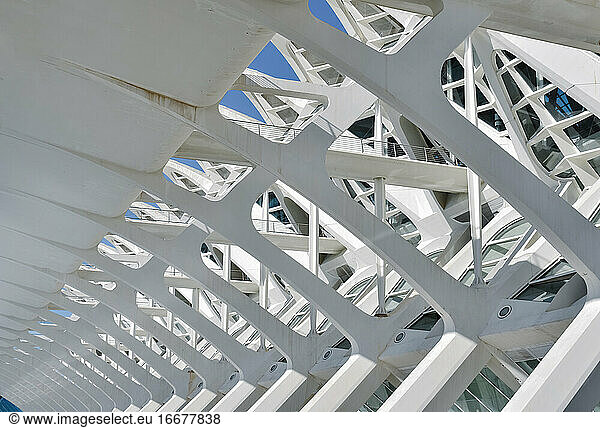 VALENCIA   SPAIN ; 11 24 2018 : View of the science museum in the city os science and arts in Valencia - Spain from the outside garden in a sunny morning. Horizontal photo