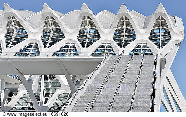 VALENCIA   SPAIN ; 11 24 2018 : View of the science museum in the city os science and arts in Valencia - Spain from the outside garden in a sunny morning. Horizontal photo