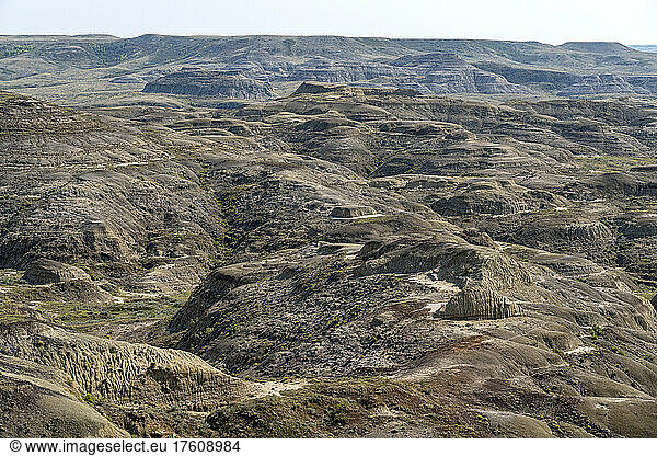 Valley of 1000 Devils in the East Block of Grasslands National Park  which features amazing displays of erosion and geology; Saskatchewan  Canada