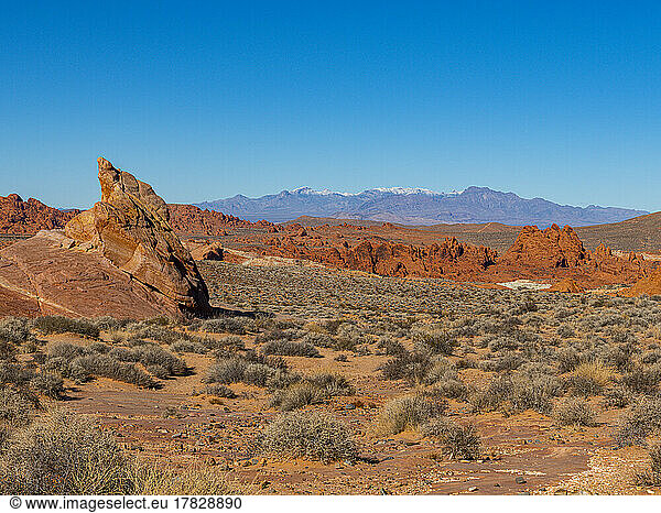 Valley of Fire State Park  Nevada  United States of America  North America