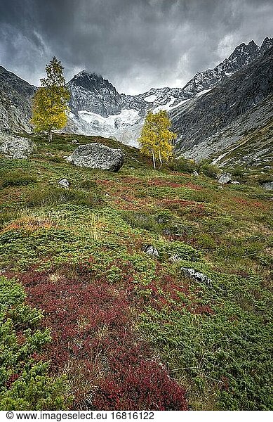 Vallon des ?tages Tal im Herbst  Nationalpark Ecrins  Französische Alpen