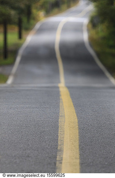 Vanishing roadway with yellow line in Dover  Massachusetts  USA
