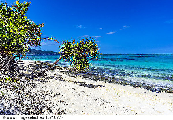 Vanuatu  Mystery Island  beach  south pacific