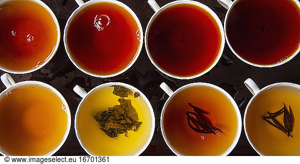 variations of tea strength at tea tasting in Sri Lanka