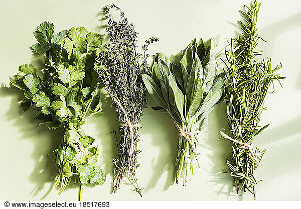 Variety of fresh green herbs arranged on table at home