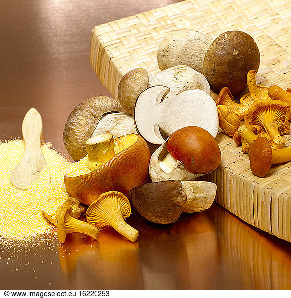 Variety of mushrooms with polenta