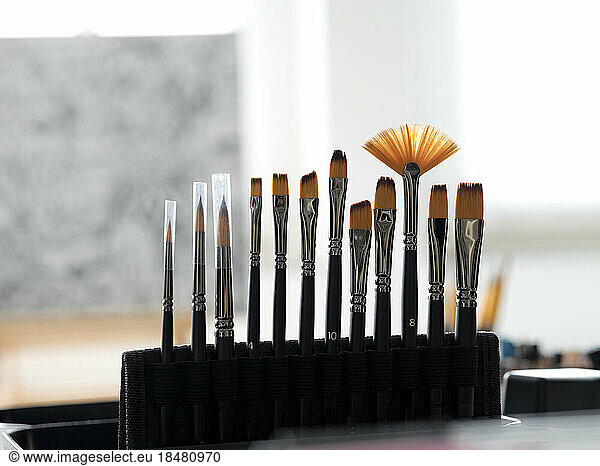 Variety of paintbrushes arranged on rack in office