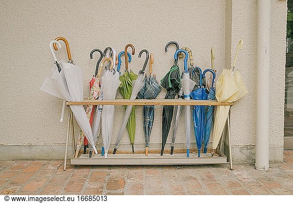 Variety Of Umbrellas Colourful Holder