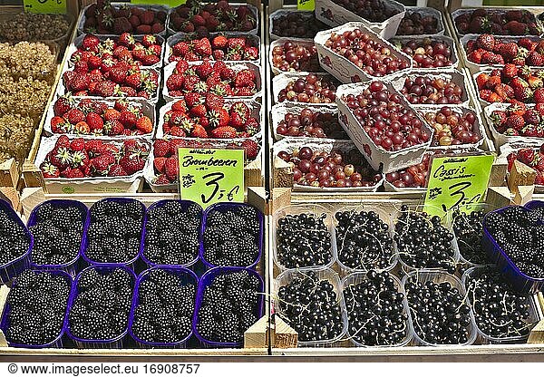 Various berries with price tag at a market stall  Germany  Europe