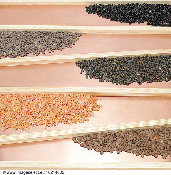 Various dried lentils  elevated view
