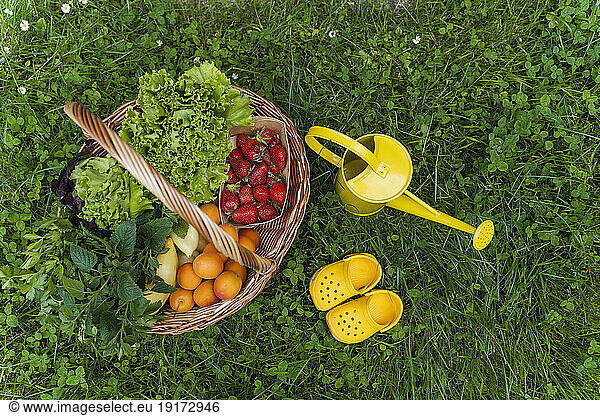Various fresh vegetables and fruits in basket with watering can on grass
