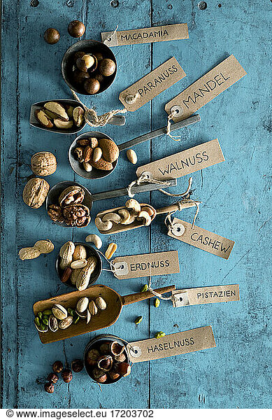 Various nuts in bowls and on spoons  Brazil nut  almonds  macadamia  walnut  pistachio  peanut  cashew  hazelnut with labels on rustic wooden background