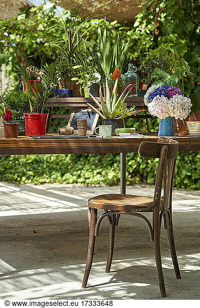 Various potted plants on table by wooden chair at backyard