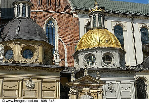 Vasa-Kapelle  Sigismund-Kapelle  Wawel-Kathedrale  Wawel  Krakau  Polen  Europa