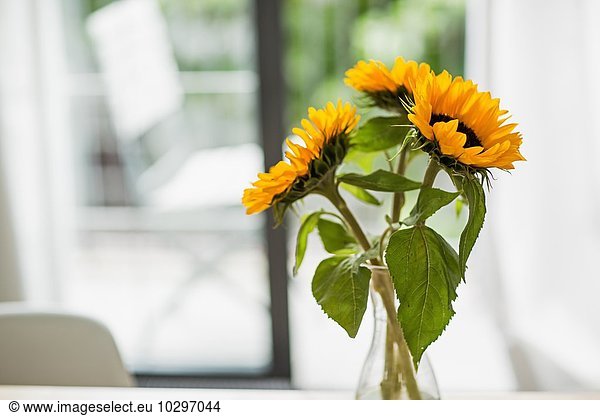 Vase of sunflowers in living room