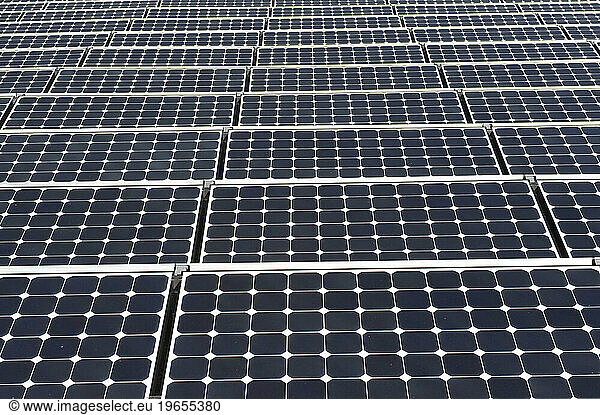 Vast row of solar panels on the roof of a museum in Denver  Colorado.