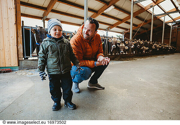 Vater und Sohn lächelnd in der Scheune mit Kühen dahinter im Winter