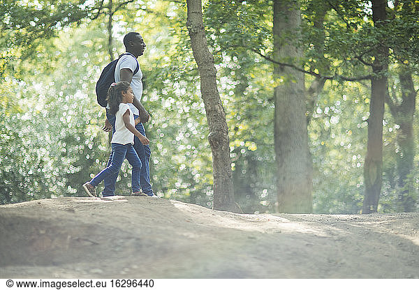 Vater und Tochter beim Händchenhalten beim Wandern in sonnigen Sommerwäldern