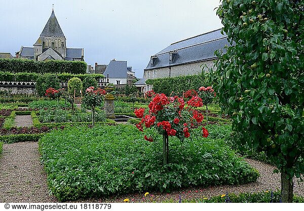 Vegetable garden of Villandry Castle  Chateau de  Indre-et-Loire  Loire Valley  Loire Valley  Centre  France  Europe
