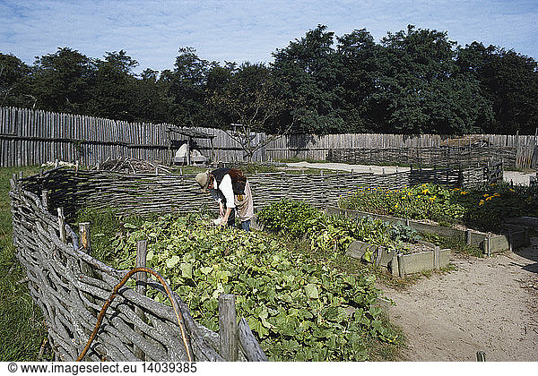 Vegetable Garden  Plymouth Plantation
