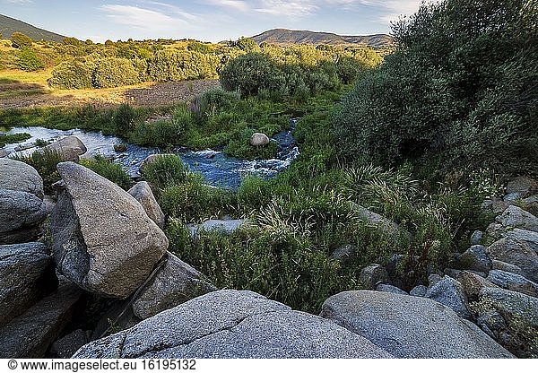 Vegetation und Felsen am Fluss Alberche  an einem Sommermorgen. Cebreros. Avila. Spanien. Europa.