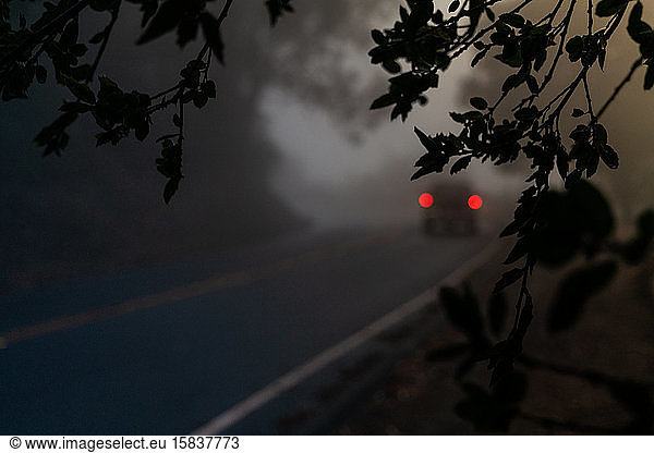 Vehical driving away on foggy road at twilight