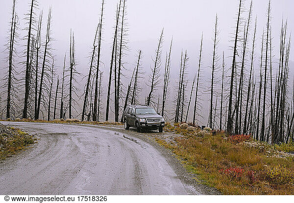 Vehicle on a forest service road in the mountains with burned trees
