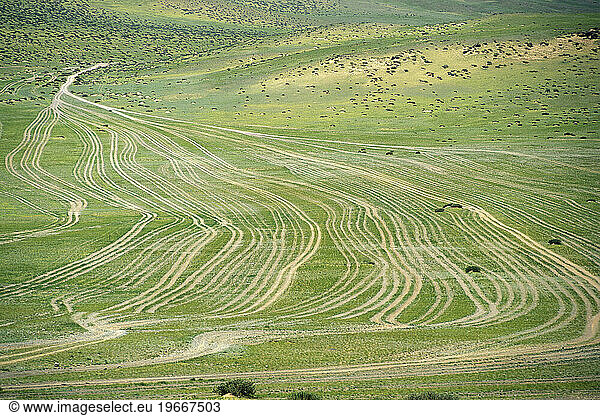 Vehicle tracks  western Mongolia