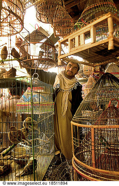 Vendor on Bird Street checks his cages.