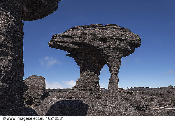 Venezuela Blick auf erodierte Felsen am Roraima Tepui