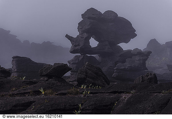 Venezuela  View of eroded rock on top of Roraima Tepui