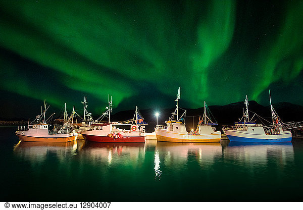 Vengsoy  traditional Norwegian fishing boats at northern lights  Tromsø  Troms  Norway