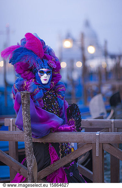Venice Carnival  Venice  Veneto  Italy  Europe