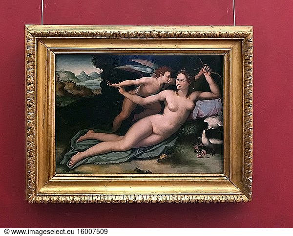 Venus und Amor  1570  Öl auf Holz  von Alessandro Allori 1535 - 1607. Die Uffizien sind ein bedeutendes Kunstmuseum in der Nähe der Piazza della Signoria im historischen Zentrum von Florenz in der Toskana  Italien. Foto: Andr? Maslennikov.