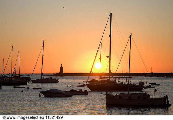 Verankerte Yachten im Hafen bei Sonnenuntergang  Andratx  Mallorca  Spanien