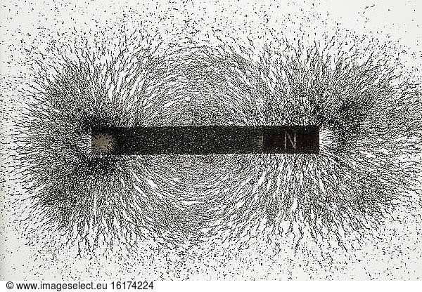 Veranschaulichung von Magnetfeldlinien mit Eisenfeilspänen.