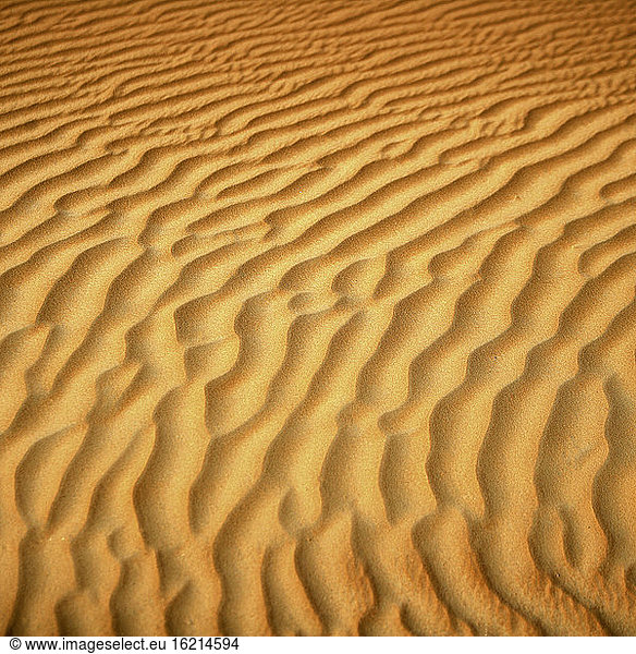 Vereinigte Arabische Emirate  Emirat Abu Dhabi  Gekräuselter Sand im Wüstenviertel