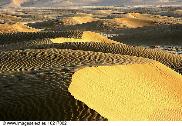 Vereinigte Arabische Emirate  Emirat Abu Dhabi  Sanddünen im Wüstenviertel