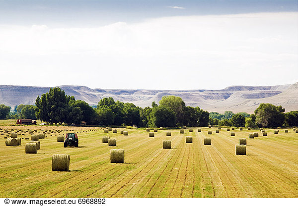 Vereinigte Staaten von Amerika  USA  Agrarland  Wyoming