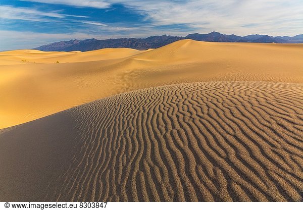 Vereinigte Staaten von Amerika  USA  Amerika  Death Valley Nationalpark  Kalifornien