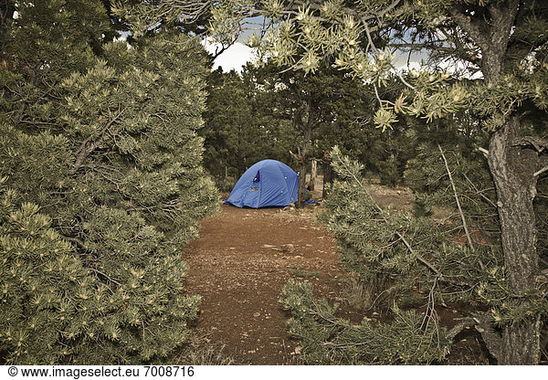 Vereinigte Staaten von Amerika  USA  Ehrfurcht  Arizona  Campingplatz  Schlucht