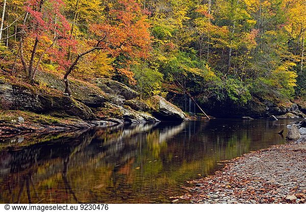 Vereinigte Staaten von Amerika USA klein Fluss Herbst Laub überhängen Tennessee